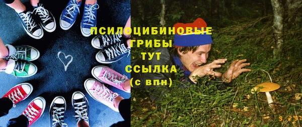 синтетический гашиш Заводоуковск