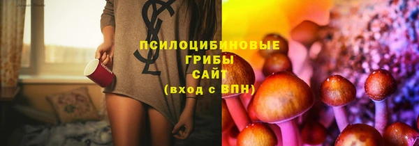 синтетический гашиш Заводоуковск