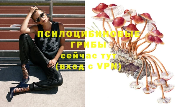 мескалин Тутаев
