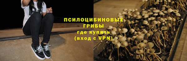мескалин Тутаев