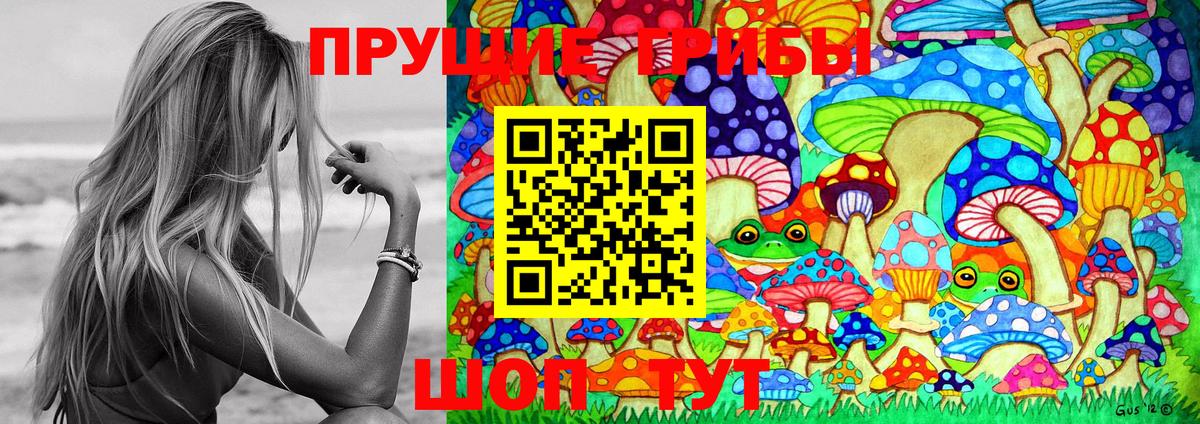 Кисловодск  Псилоцибиновые грибы Psilocybe  как найти   Вход с VPN 