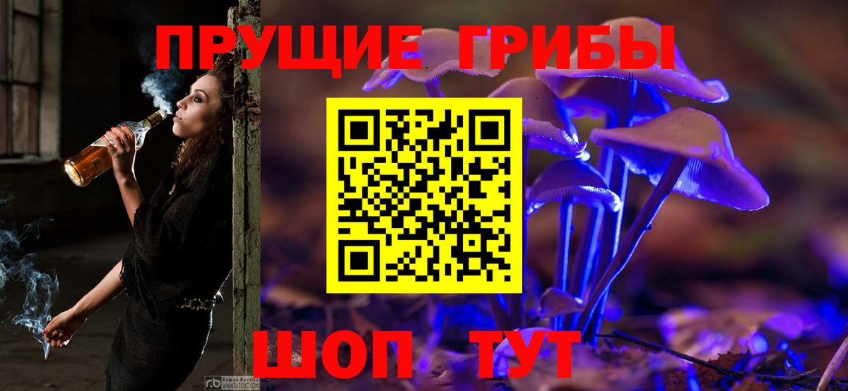 Галлюциногенные грибы прущие грибы Кисловодск